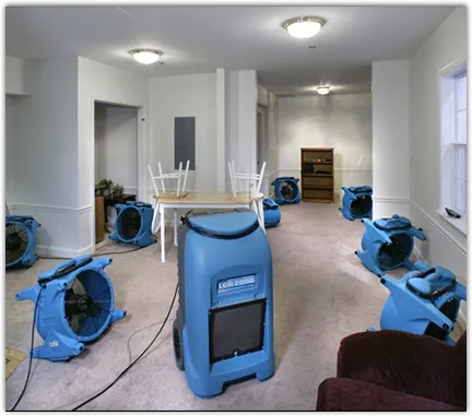 Odor Removal & Deodorization in Brewer, ME