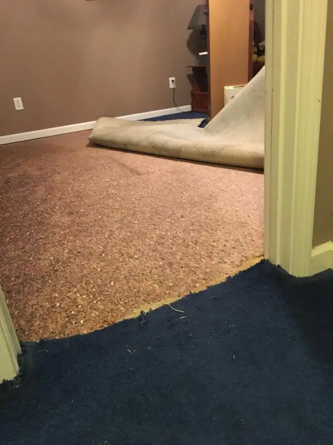 Carpet pad removal revealing water damage during Drying & Dehumidification in Brewer